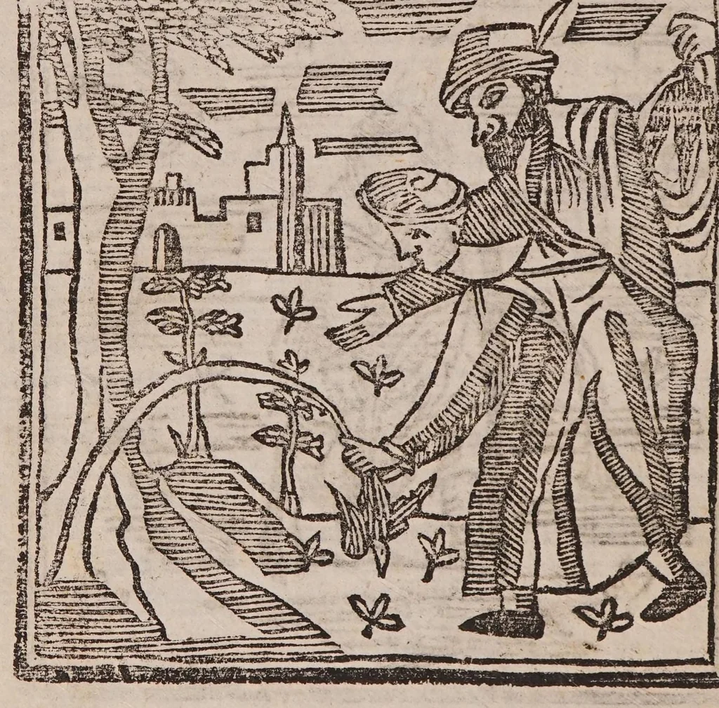 An illustration from Theatro della caccia e trattenimento geniale della villa, 1669, leaf 22