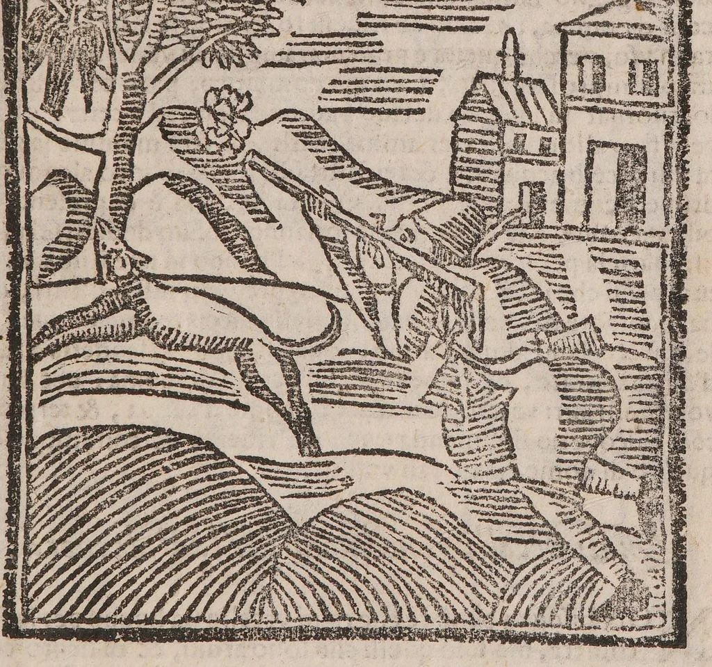 An illustration from Theatro della caccia e trattenimento geniale della villa, 1669, leaf 31
