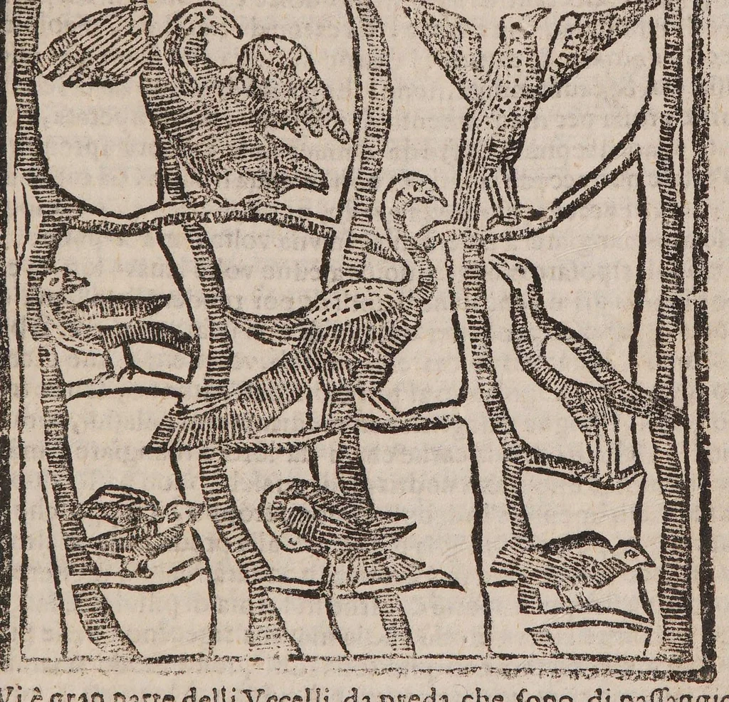 An illustration from Theatro della caccia e trattenimento geniale della villa, 1669, leaf 33