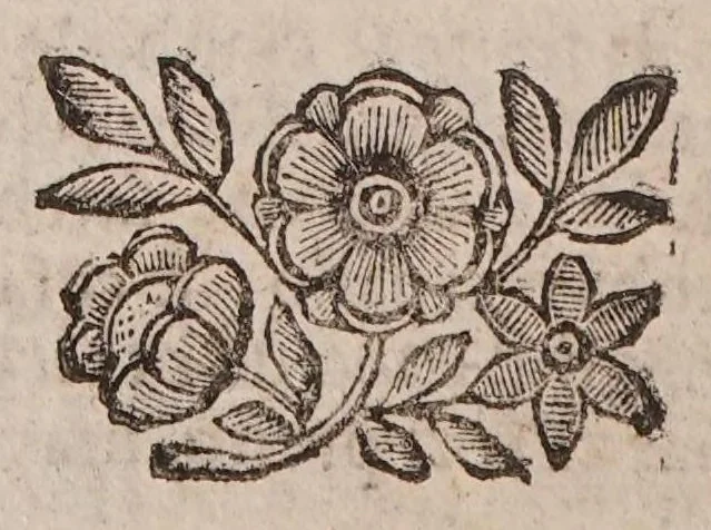 An illustration from Theatro della caccia e trattenimento geniale della villa, 1669, leaf 82