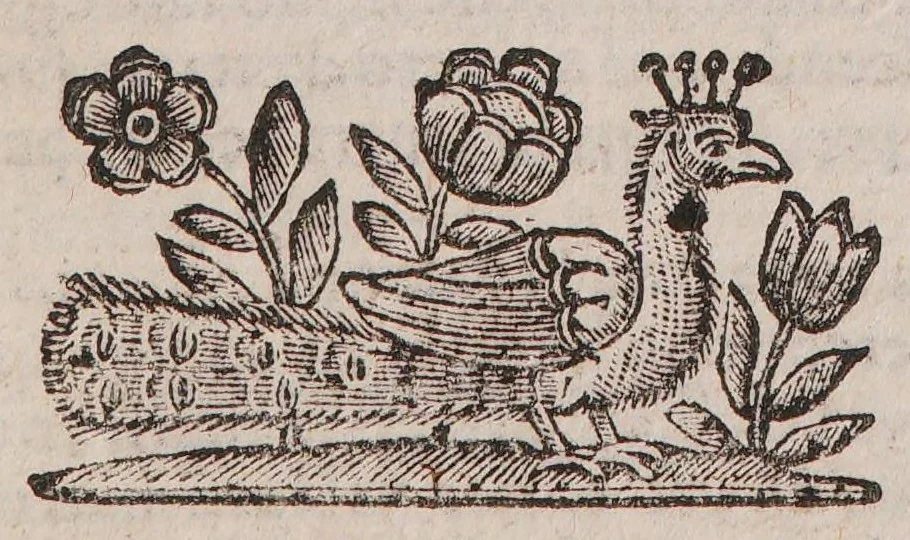 An illustration from Theatro della caccia e trattenimento geniale della villa, 1669, leaf 97