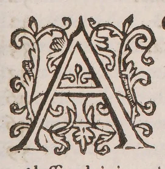 An illustration from Della theriaca, libri due ... a Pansiliano, e a Pisone, 1608, leaf 15