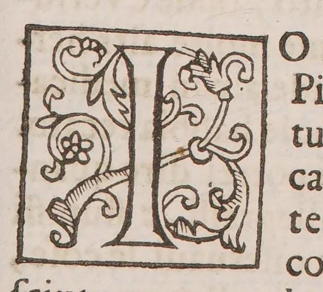An illustration from Della theriaca, libri due ... a Pansiliano, e a Pisone, 1608, leaf 41