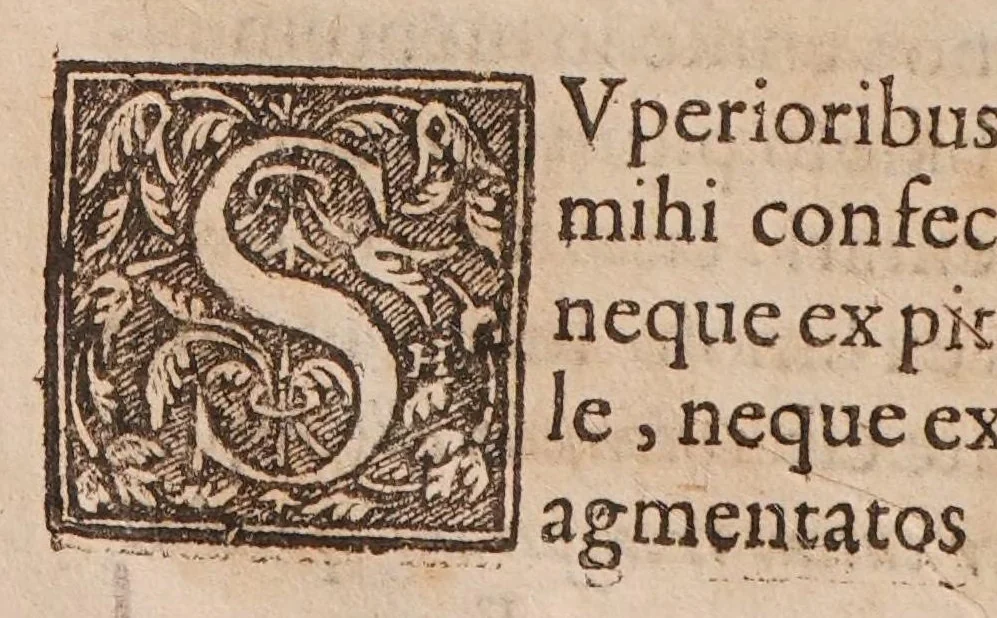 An illustration from Disquisitio physiologica de pilis, 1619, leaf 110