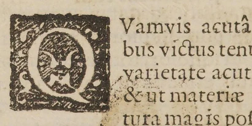 An illustration from Animadversionum, et cautionum medicarum libri septem: denuò ab autore recogniti, & hac postrema editione, expurgatis quàmplurimis mendis, novo nitori restituti, 1628, leaf 26