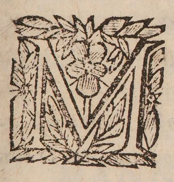 An illustration from De manna, 1648, leaf 25