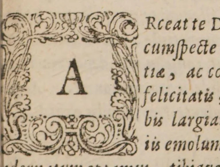 An illustration from Canticum principis Avicenne de medicina, seu Breve perspicuum, & concinne digestum institutionum medicarum compendium. Cui adjecti aphorismi medici Johannis Mesuaei, 1649, leaf 193