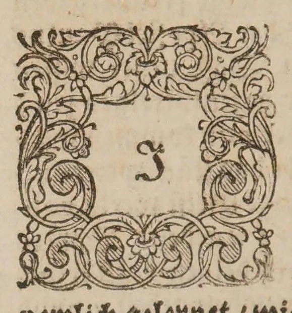 An illustration from Ein geheimer Tractatus ... von den dreyen Seculis oder Haupt-zeiten, von Anfang biss zum Ende der Welt, 1660, leaf 100