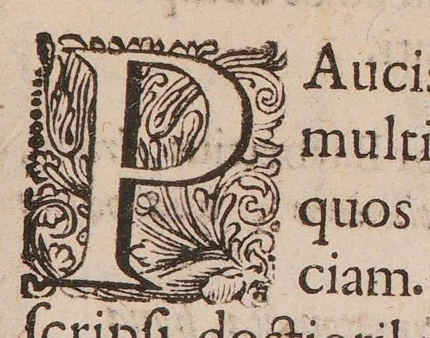 An illustration from Praxis Barbettiana, 1665, leaf 13