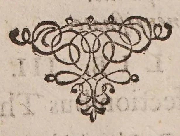 An illustration from Praxis Barbettiana, 1665, leaf 16