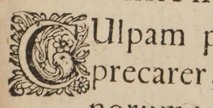An illustration from De medicina danorum domestica dissertationes X. Cum ejusdem vindiciis et additamentis, 1666, leaf 13