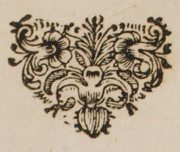 An illustration from Bifolium metallicum, seu medicina duplex, pro metallis et hominibus infirmis, â proceribus artis Hermeticæ, sub titulo Lapidis philosophici inventa, elaborata et posteritati transmisso, jam vero denuo recognita ... methodice tradita, et ... proposita a Pantaleone, Hermeticae sophiae perito, 1679, leaf 65