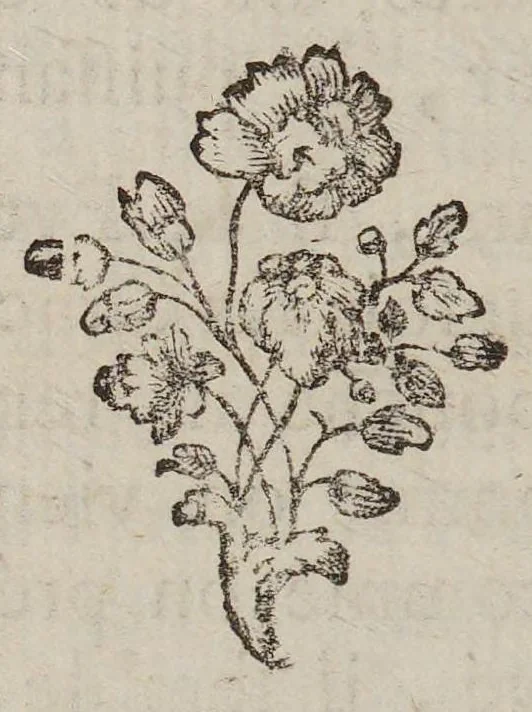 An illustration from Le ventriloque ou l'engastrimythe, 1772, leaf 144