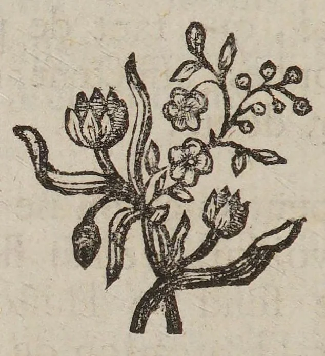 An illustration from Le ventriloque ou l'engastrimythe, 1772, leaf 92