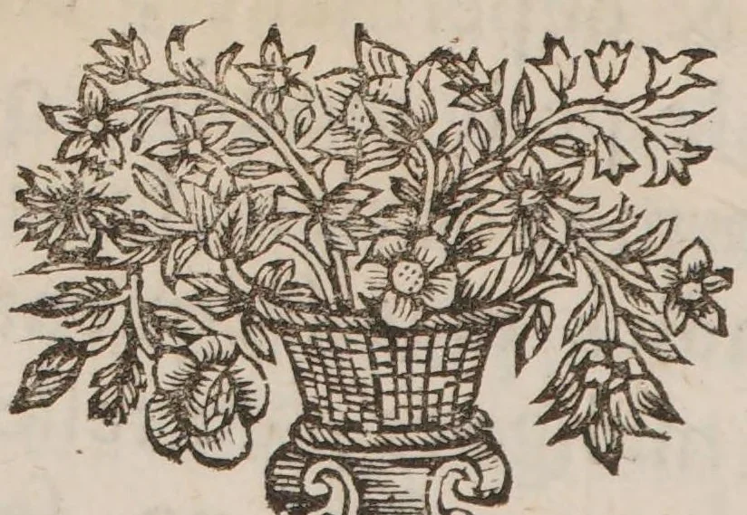 An illustration from Revelations cabalistiques d'une médecine universelle tirée du vin: avec une maniere d'extraire le sel de rosée: et une dissertation sur les lampes sepulchrales, 1735, leaf 62