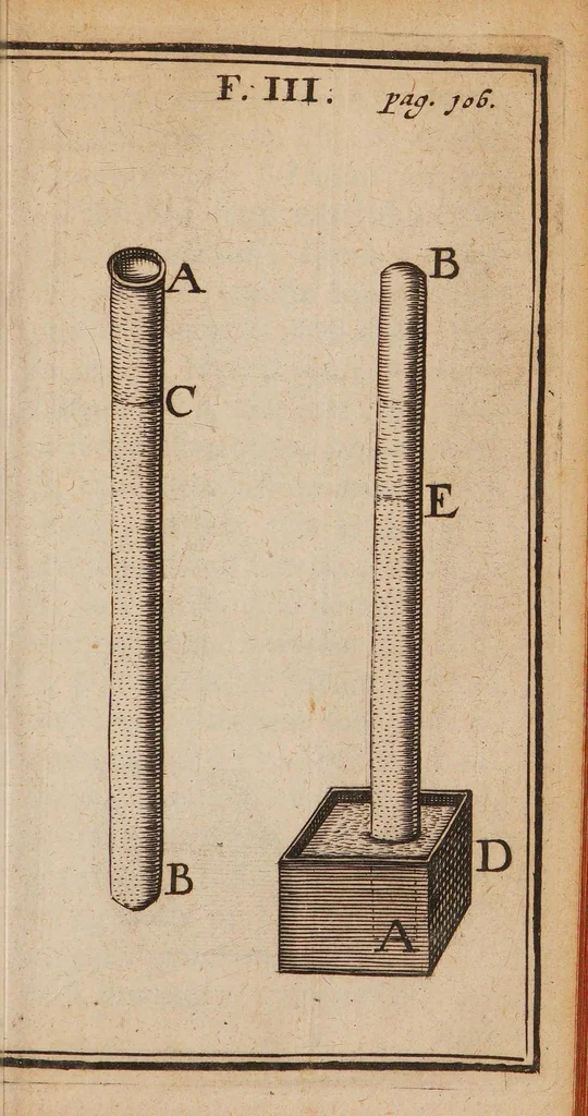 An illustration from Experimenta nova anatomica, quibus incognitum hactenus chyli receptaculum, et ab eo per thoracem in ramos usque subclavios vasa lactae deteguntur. Ejusdem dissertatio anatomica, de circulatione sanguinis, et chyli motu, 1700, leaf 139