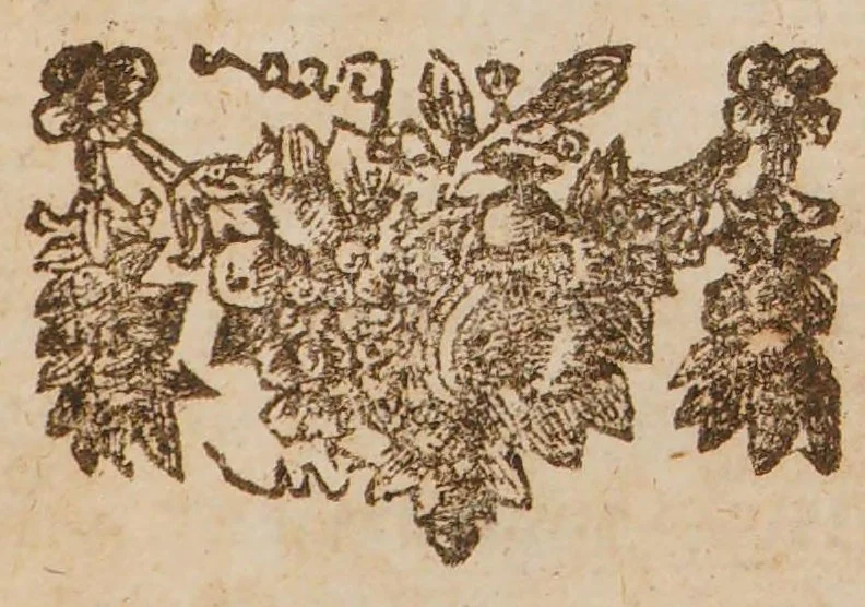 An illustration from De praxi medica ad priscam observandi rationem revocanda, libri duo. Accedunt dissertationes novae. I. De anatome, morsu, et effectibus tarantulae ... II. De usu et abusu vesicantium. III. Experimenta varia anatomico-infusoria. IV. De circulatione sanguinis in rana. V. Historia morbi, et sectionis cadaveris Marcelli Malpighii. VI. Appendix de apoplexiis, 1700, leaf 287