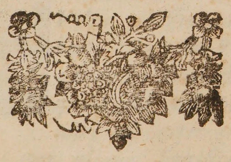 An illustration from De praxi medica ad priscam observandi rationem revocanda, libri duo. Accedunt dissertationes novae. I. De anatome, morsu, et effectibus tarantulae ... II. De usu et abusu vesicantium. III. Experimenta varia anatomico-infusoria. IV. De circulatione sanguinis in rana. V. Historia morbi, et sectionis cadaveris Marcelli Malpighii. VI. Appendix de apoplexiis, 1700, leaf 385