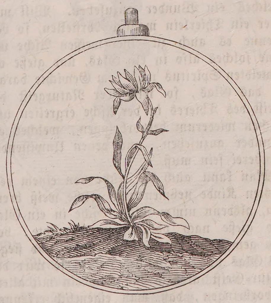 An illustration from Wunder-Buch von der göttlichen Magie, 1850, leaf 145
