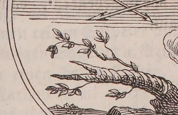 An illustration from Wunder-Buch von der göttlichen Magie, 1850, leaf 151
