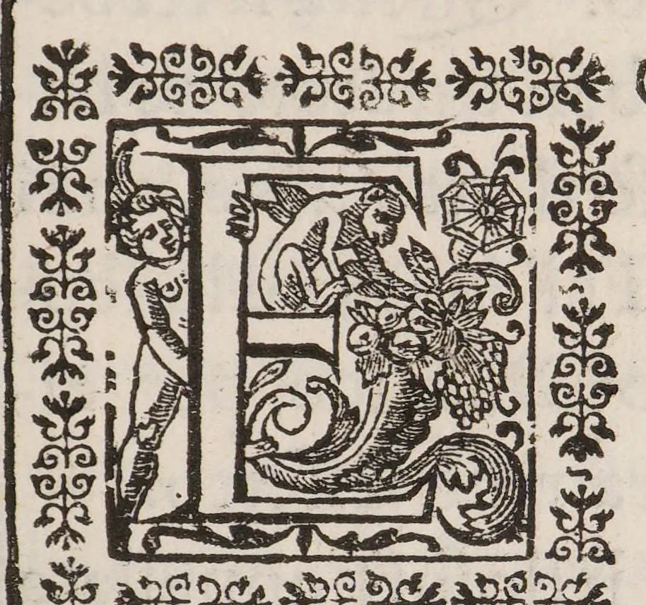 An illustration from Dell'alchimia: opra [sic], che con fondamenti di bvona filosofia, e perspicuità ammirabile tratta della realtà, difficoltà e nobiltà di tanta scienza, delle marauiglie della natura, dell' arte, e de' metalli, e delle regole, e methodo da offeruarsi nella compositione dell' oro alchimico ..., 1645, leaf 213