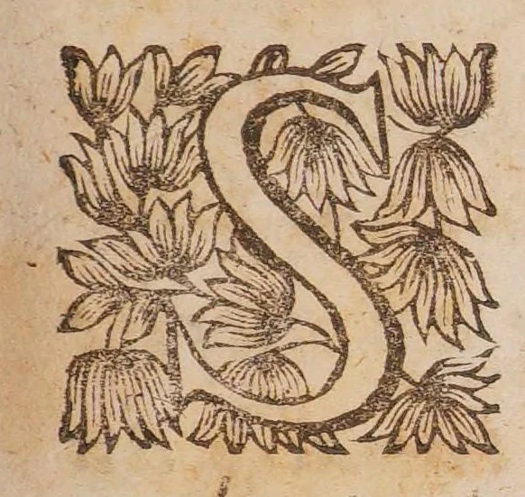 An illustration from L'examen des esprits povr les sciences, ou se monstrent les differences d'esprits, qui se trouuent parmy les hommes, & a quel genre de science chacun est propre en particulier, 1645, leaf 13