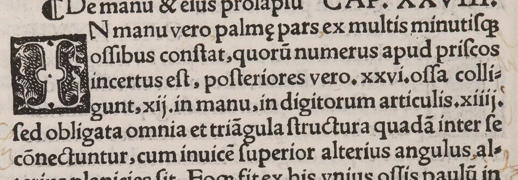 An illustration from Anatomice sive historia corporis humani. Ejusdem collectiones medicinales seu aforismi, 1514, leaf 134