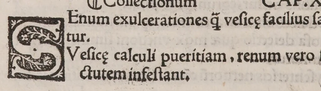 An illustration from Anatomice sive historia corporis humani. Ejusdem collectiones medicinales seu aforismi, 1514, leaf 168