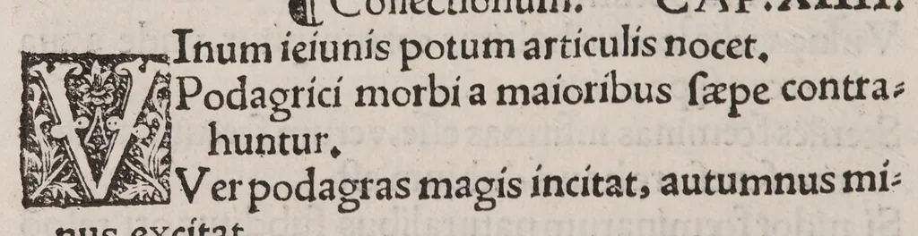 An illustration from Anatomice sive historia corporis humani. Ejusdem collectiones medicinales seu aforismi, 1514, leaf 170