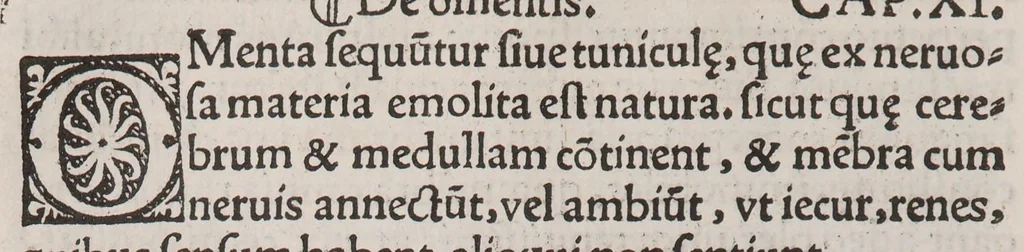 An illustration from Anatomice sive historia corporis humani. Ejusdem collectiones medicinales seu aforismi, 1514, leaf 34