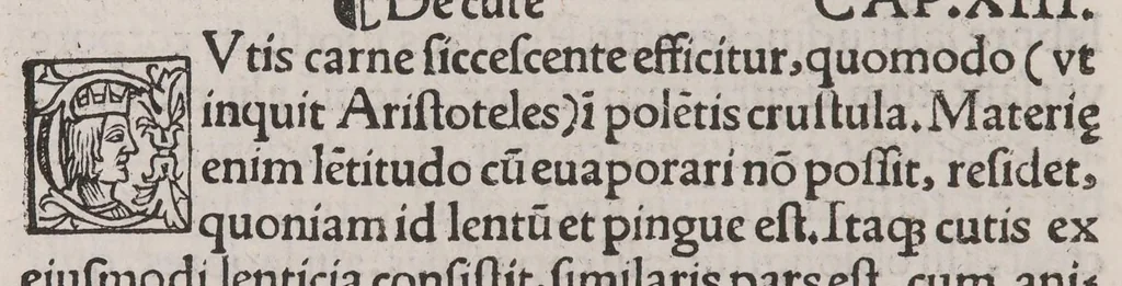 An illustration from Anatomice sive historia corporis humani. Ejusdem collectiones medicinales seu aforismi, 1514, leaf 34