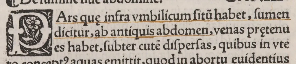 An illustration from Anatomice sive historia corporis humani. Ejusdem collectiones medicinales seu aforismi, 1514, leaf 38