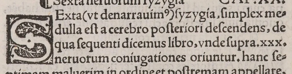 An illustration from Anatomice sive historia corporis humani. Ejusdem collectiones medicinales seu aforismi, 1514, leaf 98