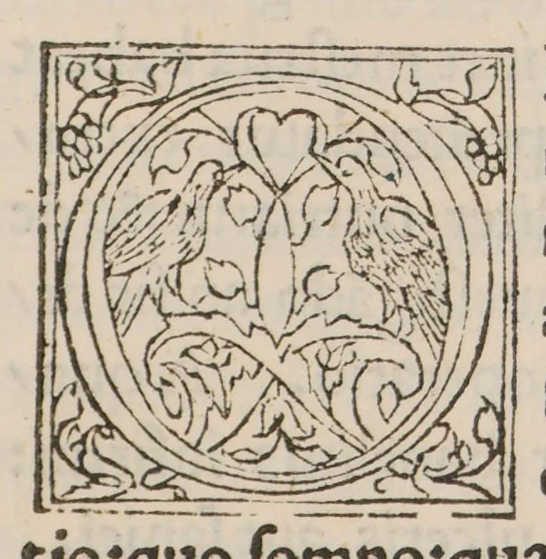 An illustration from Libellus ad evitandum et expellendum morbum gallicum, 1502, leaf 45