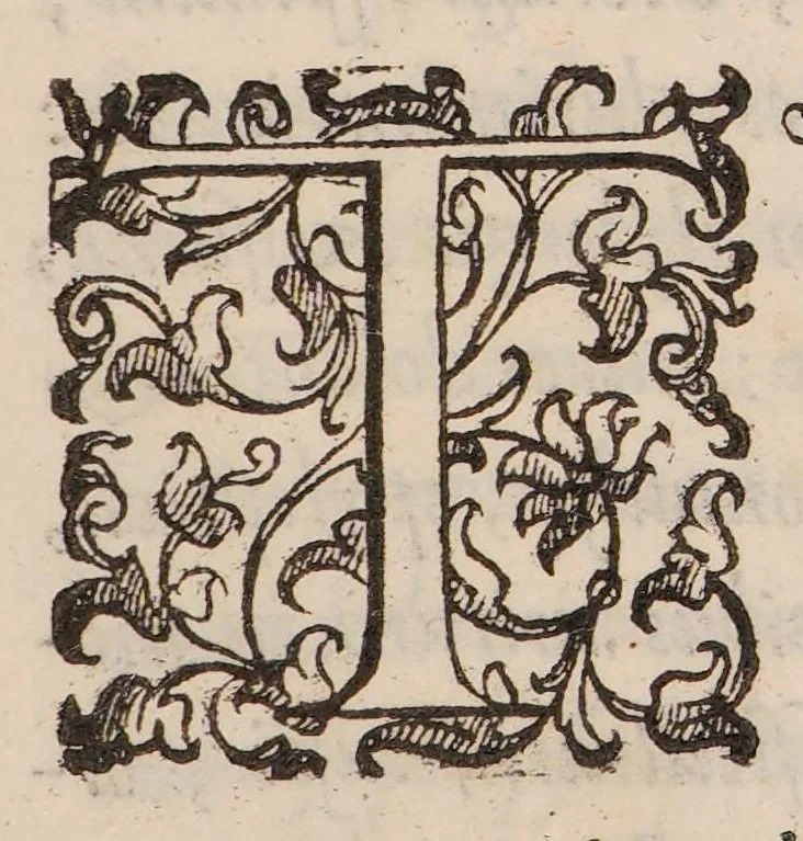 An illustration from De balsamo dialogus. In quo verissima balsami plantae, opobalsami, carpobalsami, et xilobalsami cognitio plerisque antiquorum atque juniorum medicorum occulta nunc elucescit ..., 1591, leaf 13
