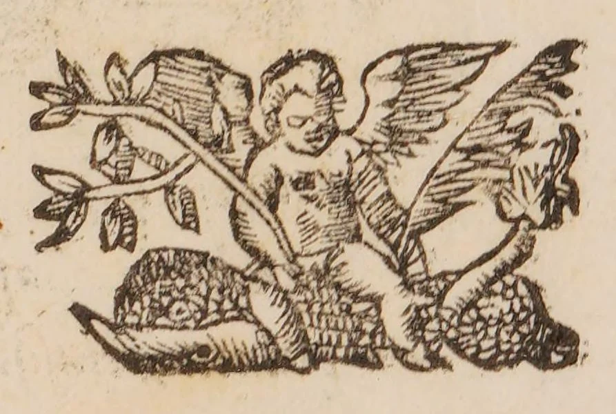 An illustration from De balsamo dialogus. In quo verissima balsami plantae, opobalsami, carpobalsami, et xilobalsami cognitio plerisque antiquorum atque juniorum medicorum occulta nunc elucescit ..., 1591, leaf 71