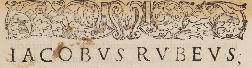 An illustration from De medendis humani corporis malis: ars medica, 1570, leaf 13