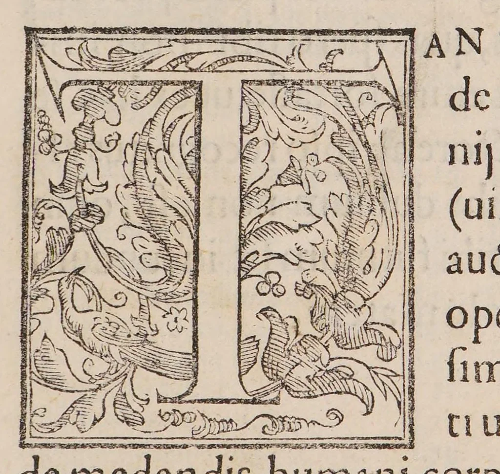 An illustration from De medendis humani corporis malis: ars medica, 1570, leaf 13