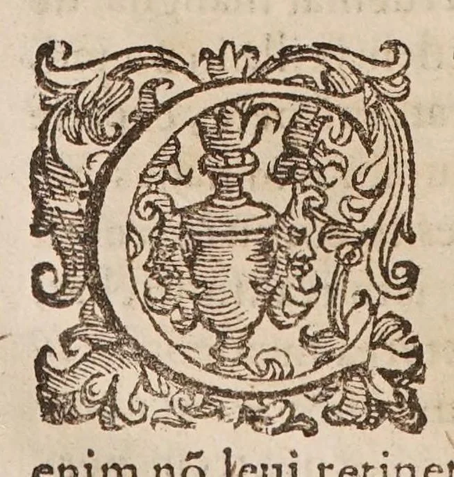 An illustration from De morbis communibus liber. Ejusdem tractatus de variolis, et appendix ad librum de morbis communibus in quo agitur de causa praesentis tempestatis ..., 1596, leaf 294