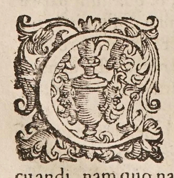 An illustration from De morbis communibus liber. Ejusdem tractatus de variolis, et appendix ad librum de morbis communibus in quo agitur de causa praesentis tempestatis ..., 1596, leaf 336
