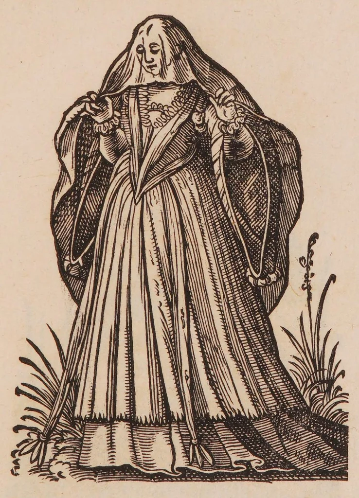 An illustration from Im Frauwenzimmer Wirt vermeldt von allerley schönen Kleidungen unnd Trachten der Weiber, hohes und niders Stands, wie Man fast an allen Orten geschmückt unnd gezieret ist ... Sampt einer kurtzen Beschreibung durch den wolgelehrten Thrasibulum Torrentinum Mutislariensem allen ehrliebenden Frauwen und Jungfrauwen zu ehren in Rheimem verfasst, 1586, leaf 209