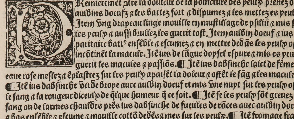 An illustration from Le tresor des pouvres, 1527, leaf 186