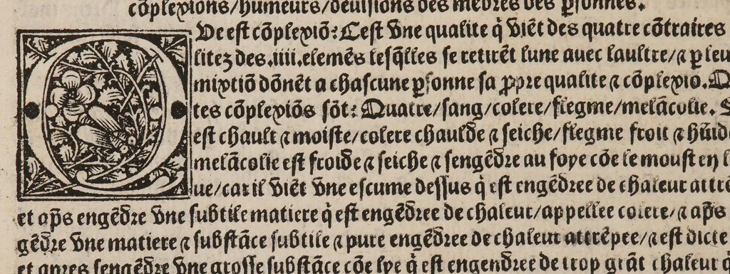 An illustration from Le tresor des pouvres, 1527, leaf 196