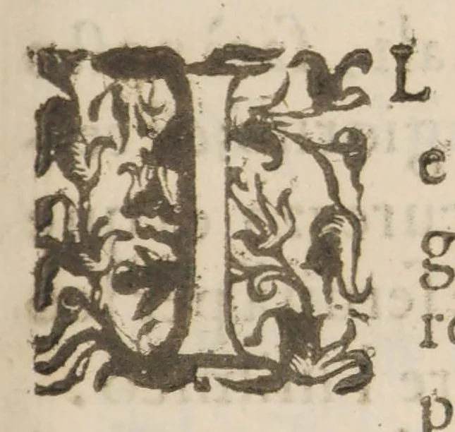 An illustration from Propugnacolo fortissimo per reprimere e rintucciare il fiero orgoglio, e la crudel tirannide di qual si voglia peste, ò contagio che si sia, 1626, leaf 17