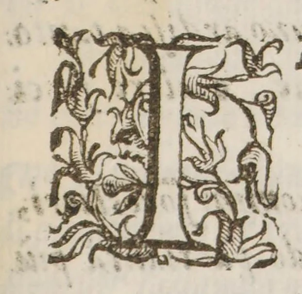 An illustration from Propugnacolo fortissimo per reprimere e rintucciare il fiero orgoglio, e la crudel tirannide di qual si voglia peste, ò contagio che si sia, 1626, leaf 71
