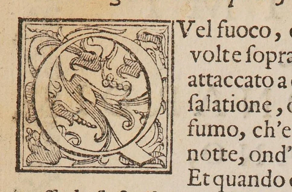An illustration from Secreti bellissimi del cavaliere G.M. Bonardi [sic] Frateggiano, doue si contengono varii effetti dalla natura prodotti, 1603, leaf 10