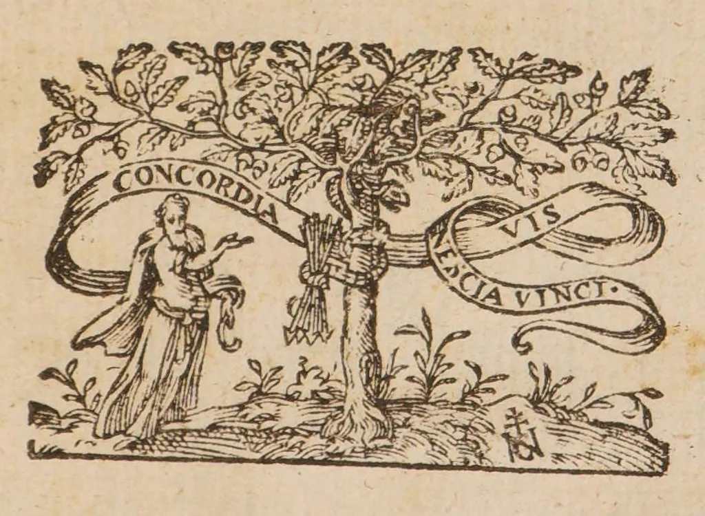 An illustration from Historie véritable de la guérison admirable, advenue et faicte par la bonté et misericorde de Dieu ... à l'endroict d'une femme nommee Nicole Obry ... de long temps privée de l'usage de la venuë, et abandonnée des medecins et chirurgiens (comme estant incurable) à l'attouchement de la vénérable relique du chef de Monsieur S. Jean Baptiste en la grande église d'Amiens le Dimenche dixneufiesme jour de May 1577, 1578, leaf 11