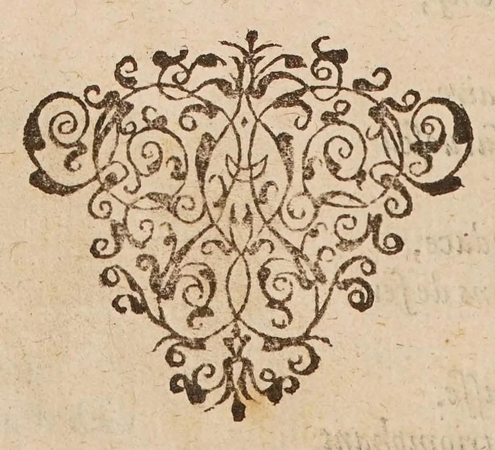 An illustration from Historie véritable de la guérison admirable, advenue et faicte par la bonté et misericorde de Dieu ... à l'endroict d'une femme nommee Nicole Obry ... de long temps privée de l'usage de la venuë, et abandonnée des medecins et chirurgiens (comme estant incurable) à l'attouchement de la vénérable relique du chef de Monsieur S. Jean Baptiste en la grande église d'Amiens le Dimenche dixneufiesme jour de May 1577, 1578, leaf 44