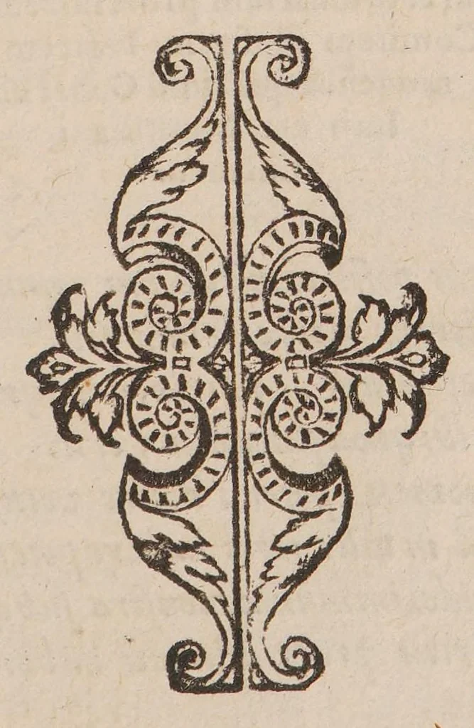 An illustration from Enarratio in legem unicam de professoribus qui in urbe Constantinopolitana libro XII C. Quae fuit ab eodem veste purpurea ornato die quarta Januarii M D LVIII, 1558, leaf 15