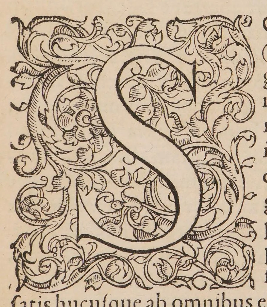 An illustration from Enarratio in legem unicam de professoribus qui in urbe Constantinopolitana libro XII C. Quae fuit ab eodem veste purpurea ornato die quarta Januarii M D LVIII, 1558, leaf 19